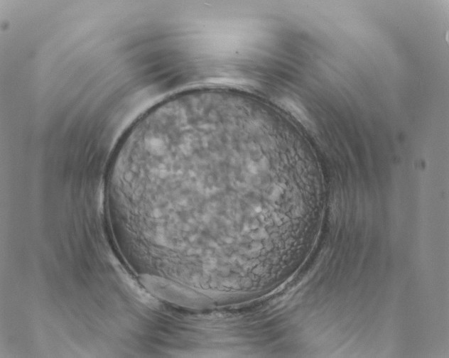 X0000088471420200706121518