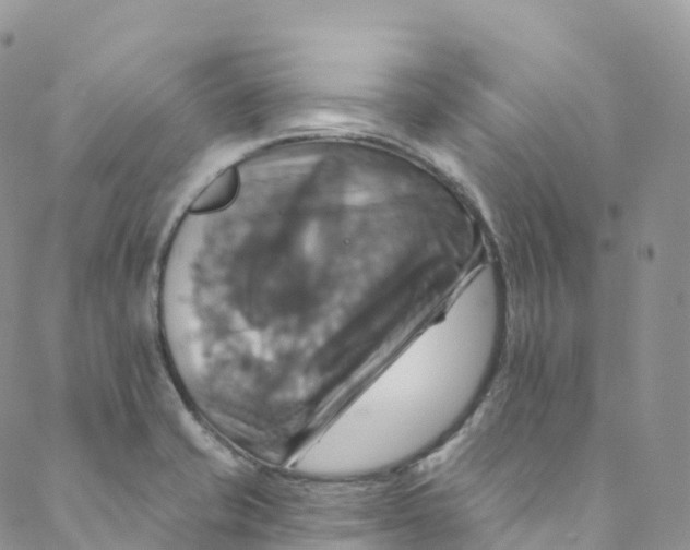 X0000088471421200706121518