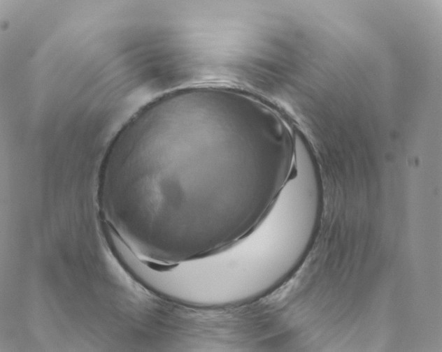 X0000088471422200706121518