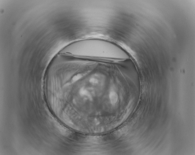 X0000088471423200706121518