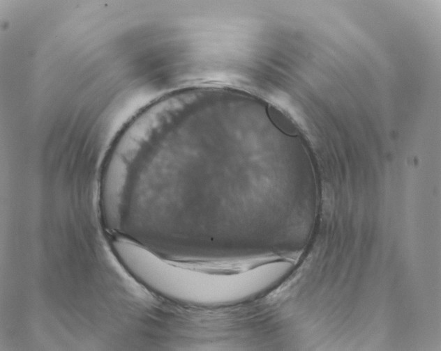 X0000088471424200706121518