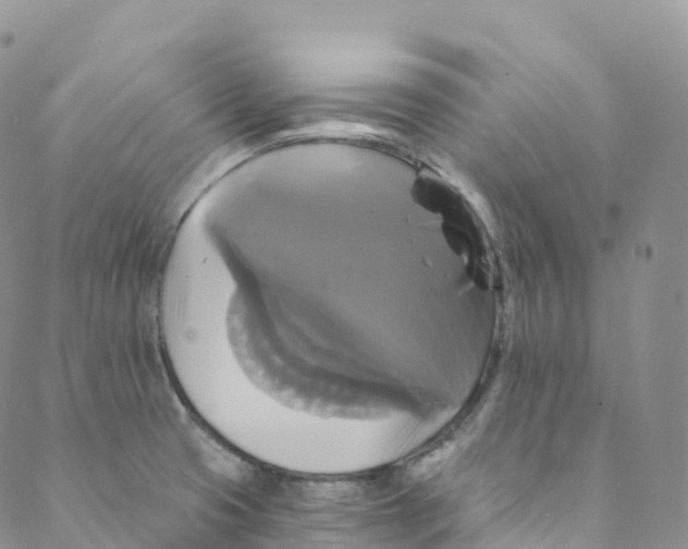 X0000088471425200706121518