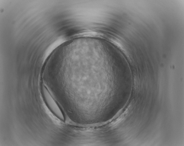 X0000088471426200706121518