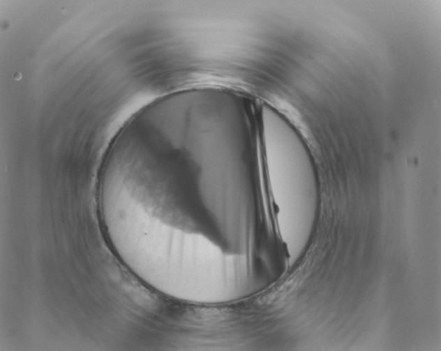 X0000088471427200706121518