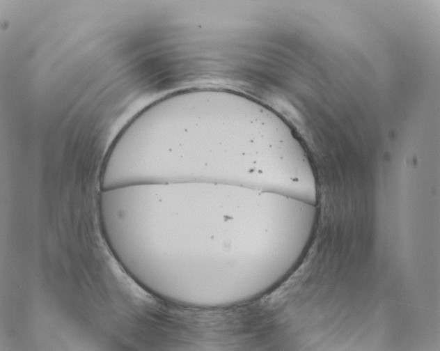 X0000088471428200706121518