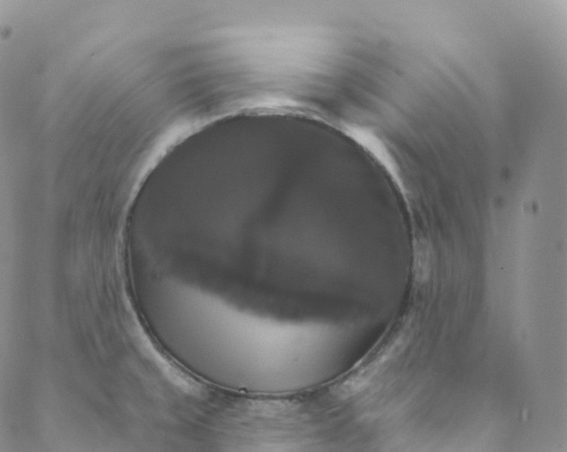 X0000088471429200706121518