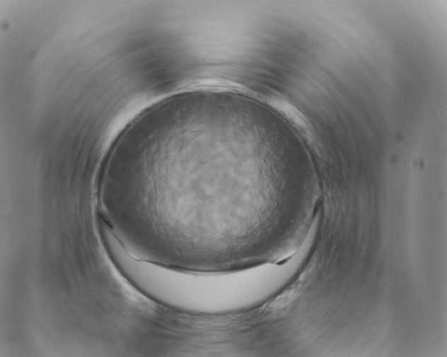 X0000088471430200706121518