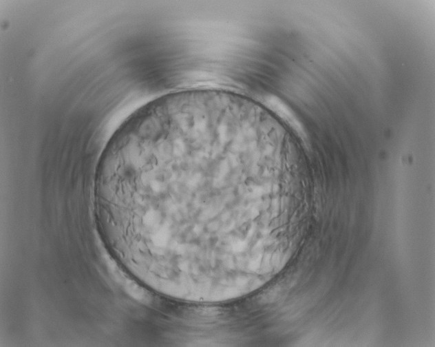 X0000088471431200706121518