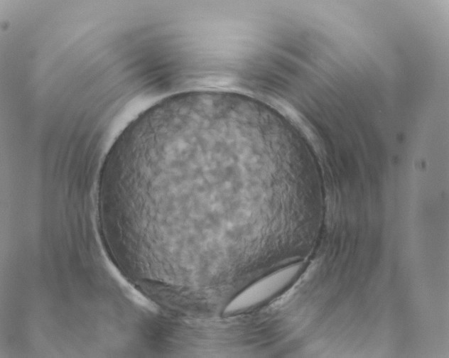 X0000088471432200706121518