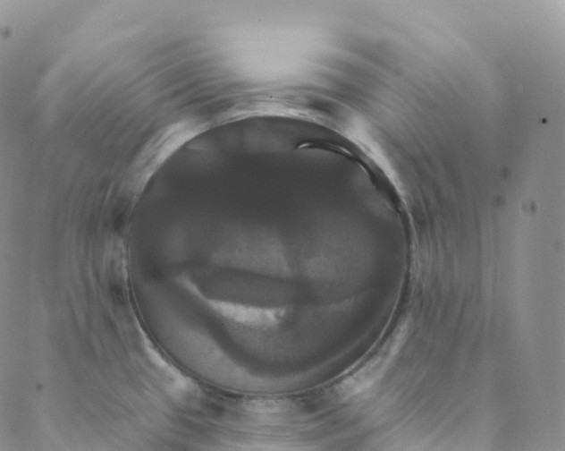 X0000088471433200706121518