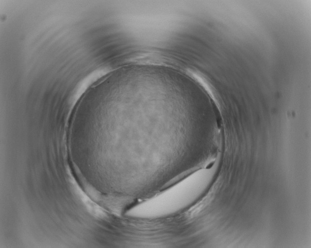 X0000088471434200706121518