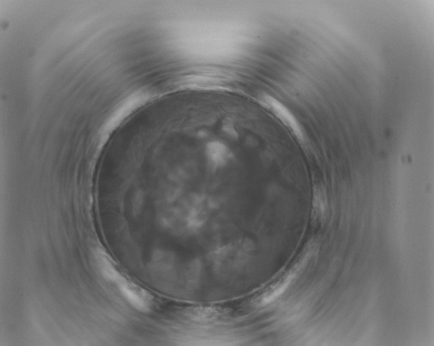 X0000088471435200706121518