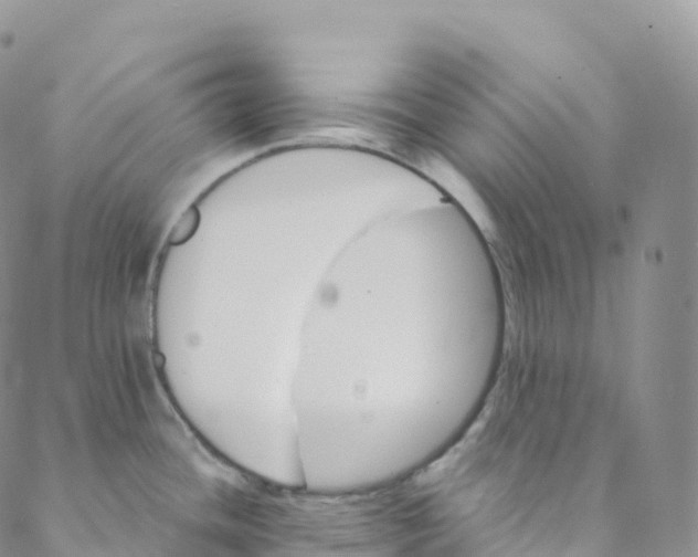 X0000088471436200706121518