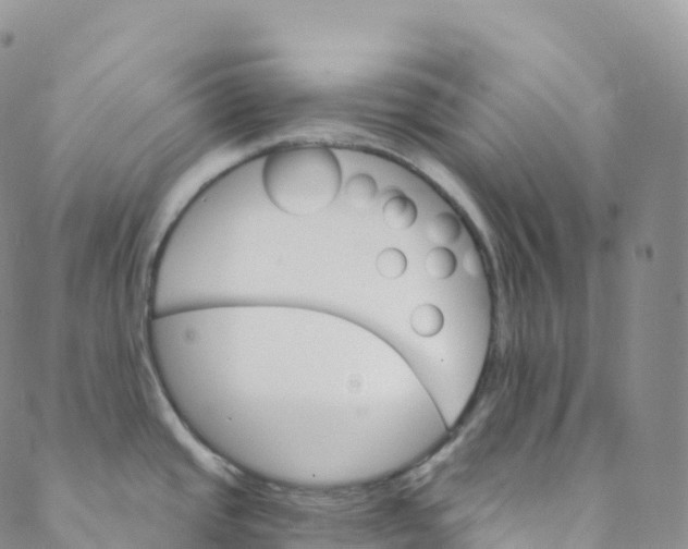 X0000088471437200706121518