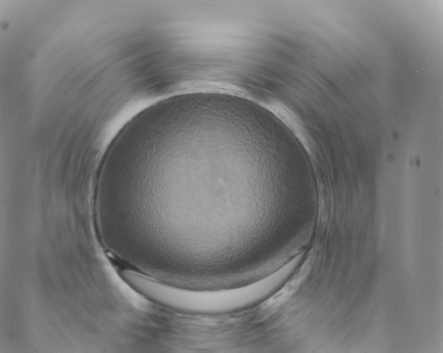 X0000088471438200706121518