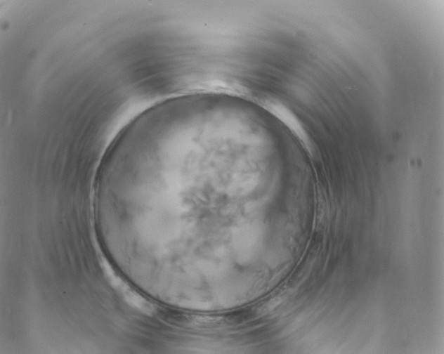 X0000088471439200706121518