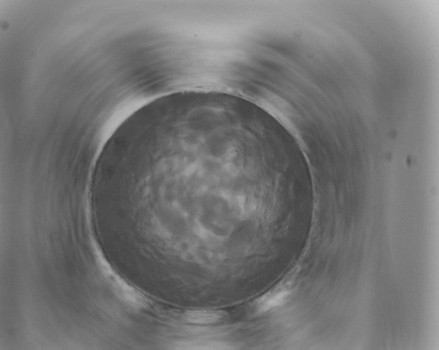 X0000088471440200706121518