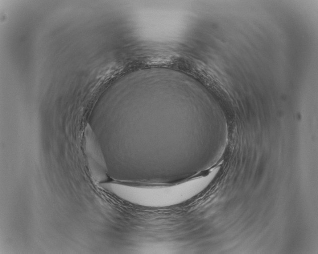 X0000088471441200706121517