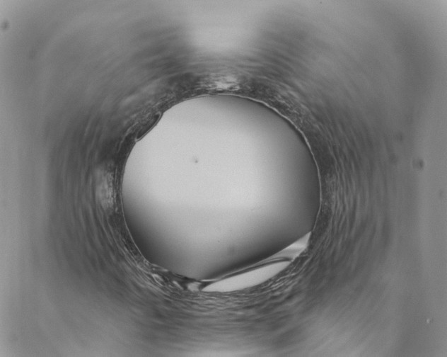 X0000088471442200706121517