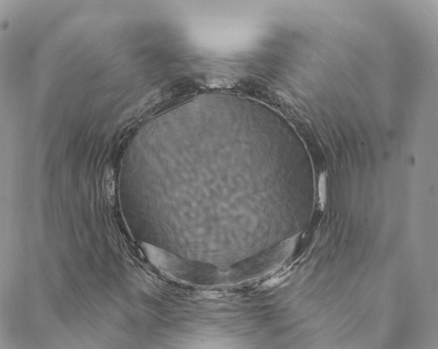 X0000088471443200706121517