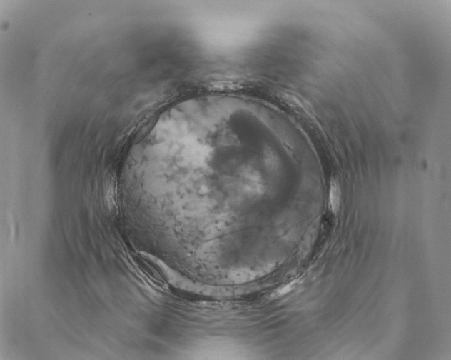 X0000088471444200706121517