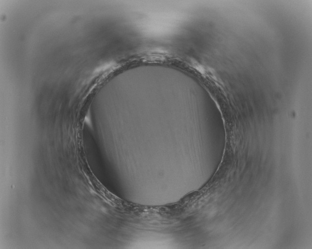 X0000088471445200706121517