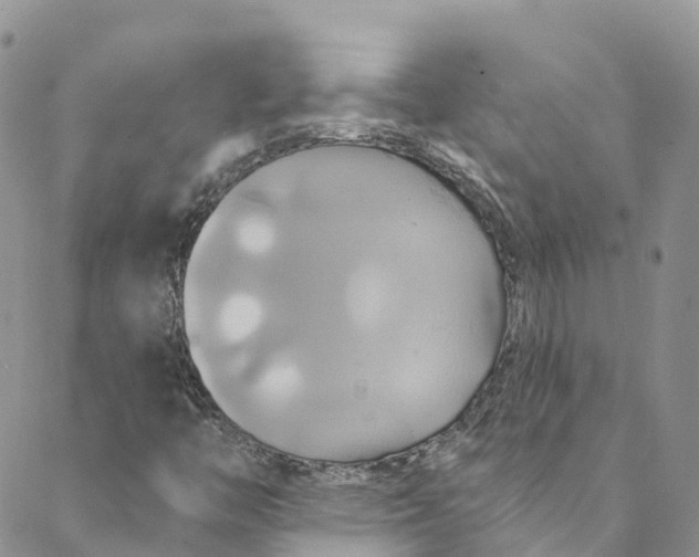 X0000088471446200706121517