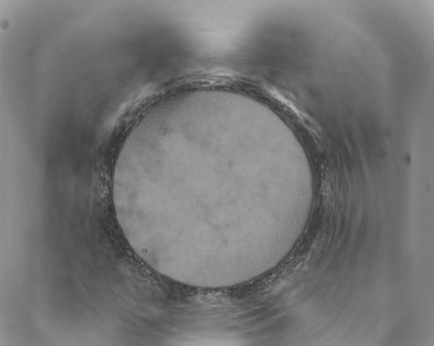 X0000088471447200706121517