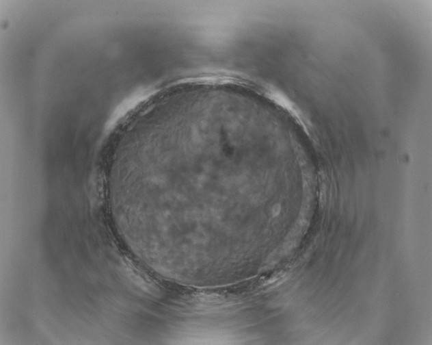 X0000088471448200706121517