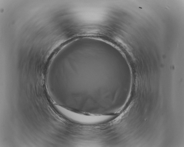 X0000088471449200706121517