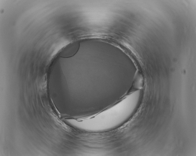 X0000088471450200706121517