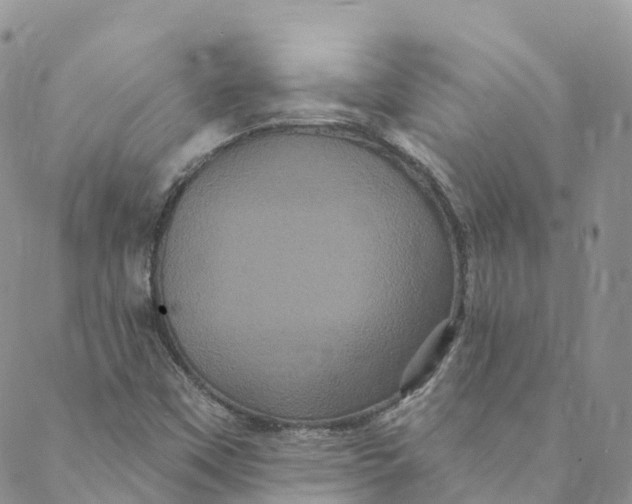 X0000088471451200706121517