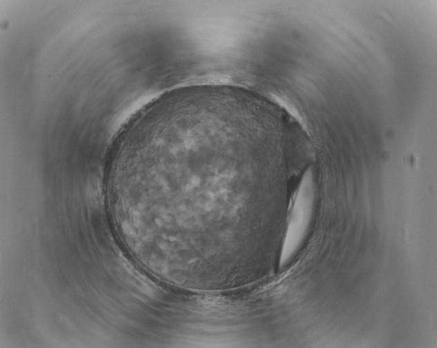 X0000088471452200706121517