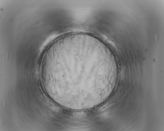 X0000088471454200706121517