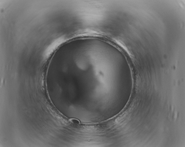 X0000088471455200706121517