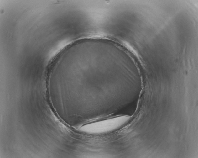 X0000088471456200706121517