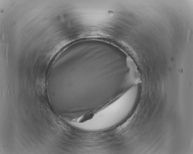 X0000088471457200706121517