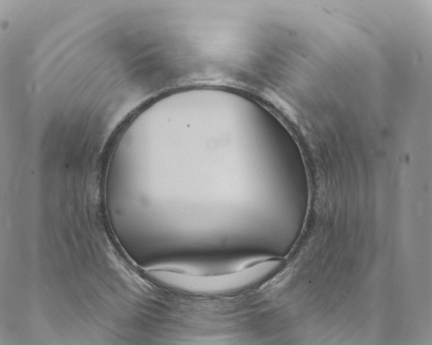 X0000088471458200706121517