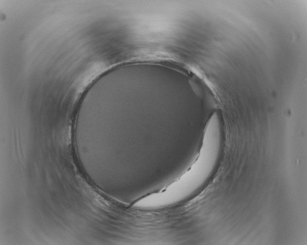 X0000088471459200706121517