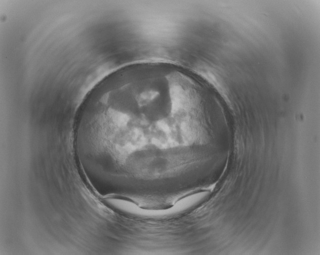 X0000088471460200706121517