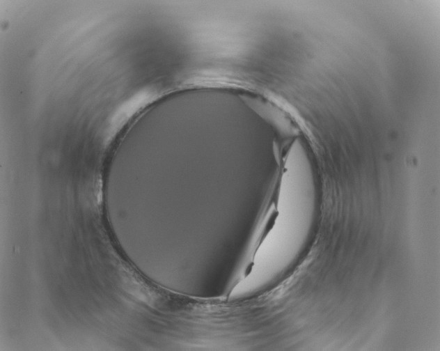 X0000088471461200706121517