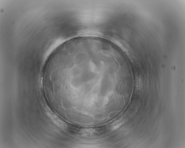 X0000088471462200706121517