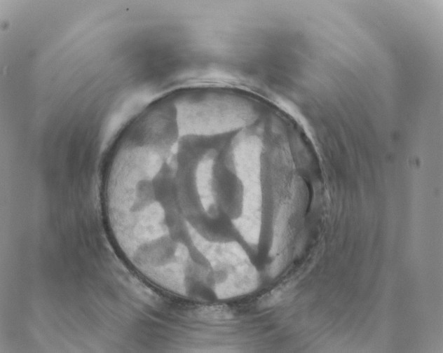 X0000088471464200706121517