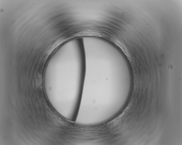 X0000088471465200706121517