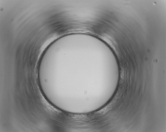 X0000088471466200706121517