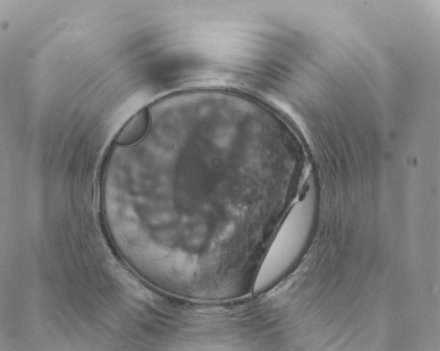 X0000088471467200706121517