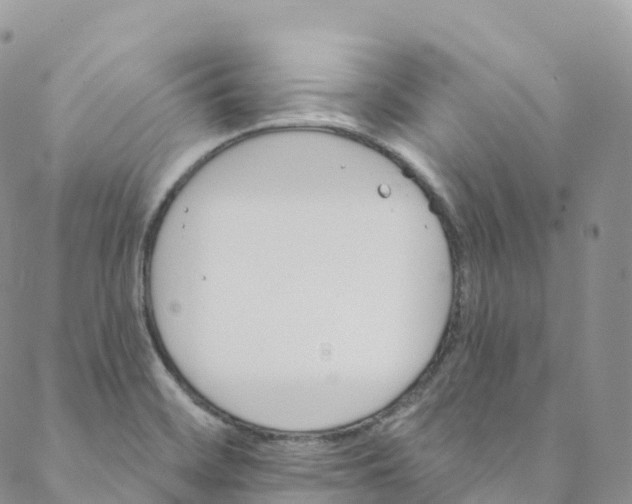 X0000088471468200706121517