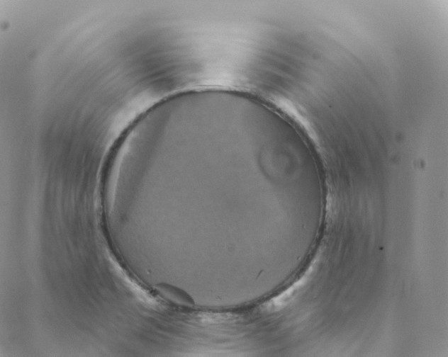 X0000088471469200706121517