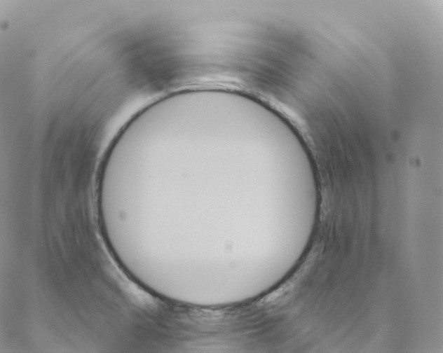 X0000088471470200706121517