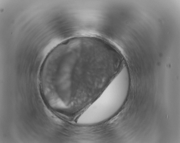 X0000088471471200706121517